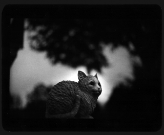 Illustration for article titled The Evil Magic Of Cats, Caught On Film